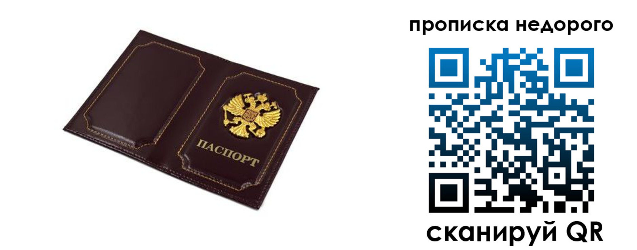 пропишу в квартире в Луге